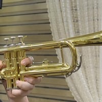 ترامبيت • أمريكي أصلي • ميسان