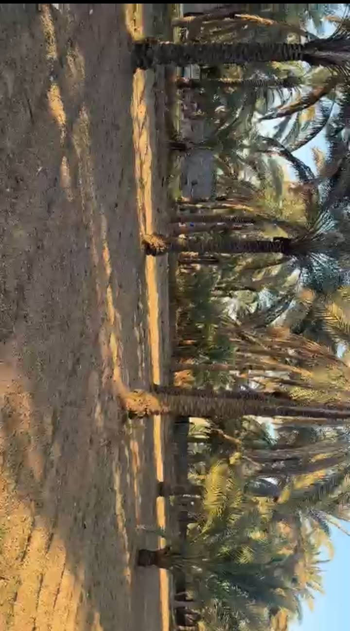 اللهم صل على محمد وآل محمد
بستان للبيع كربلاء الحر السوادة 
طابو سند 25 تحويل مباشر 
المساحة 1 دونم 2500 متر 
خدمات متوفرة للاستفسار 
***********
***********
