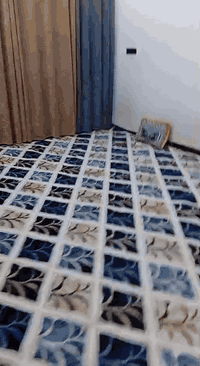 سلام عليكم بيت للبيع في منطقه بلديات منطقه ضباط ثاني زراعة قريب علا مولد ابوشهد مساحه ***********/100
