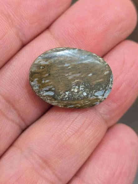 قطع لن تتكرر.
عقيق يماني    اصفر  يجمع بين العيون والجزع والمصور 
السعر  بعد التخفيض. ٣٠ الف 
توصيل بغداد وجميع مدن العراق 
***********
