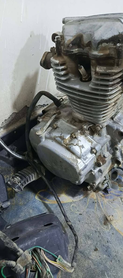 السلام عليكم غراض دراجه
مكينه 19 شغاله 
جاملغات 
ويل امامي كامل صدر كامل
صالنصه 
كشن
 ماصده 
لايت
دبلات 
ماشه كلهن شعل شغالات عوزهن بس غسل 
مكاني كوت حي الحكيم ***********
