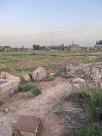 الواجه 29 والنزل 260 ارض زراعيه سنه 25 07833669294