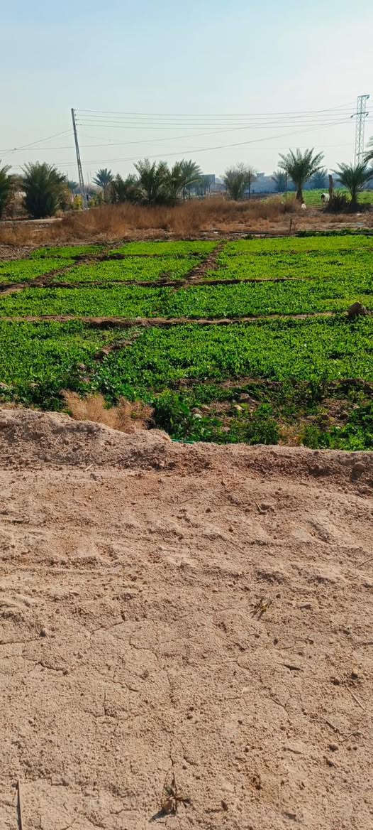 سلام عليكم/قطعه مساحتها 200 متر للبيع جاهزا وكامله طريق مي وكهرباء واصلها كلشي الي يحب يستفسر يتصل عل رقم (***********) المكان الازرگيه  ملاحظه اني مكلف بالنشر
