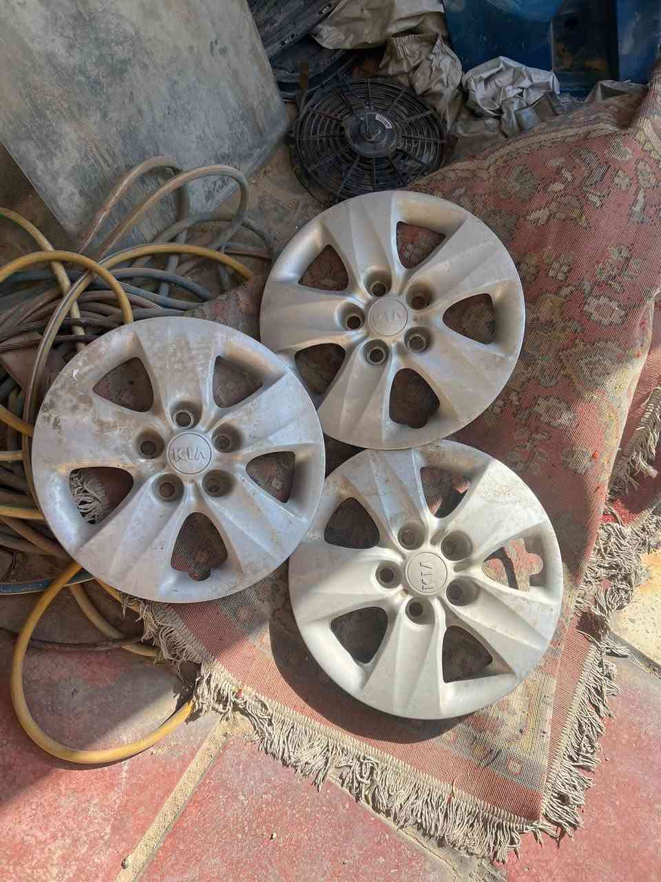 كبات اصليه سعر تخم ١٥ العنوان بغداد ***********
