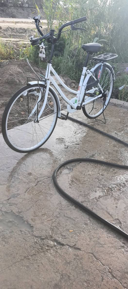 للبيع لاسكل بيدي مديل 2022 كفاله عامه اللون ابيض الشراي خاص والمو شراي لايتعبني السعر 145 قفل قفل 🔒


**إذا كنت صاحب هذا الإعلان وتريد حذفه لأي سبب، رجاءا أرسل رسالة إلى الدعم الفني**