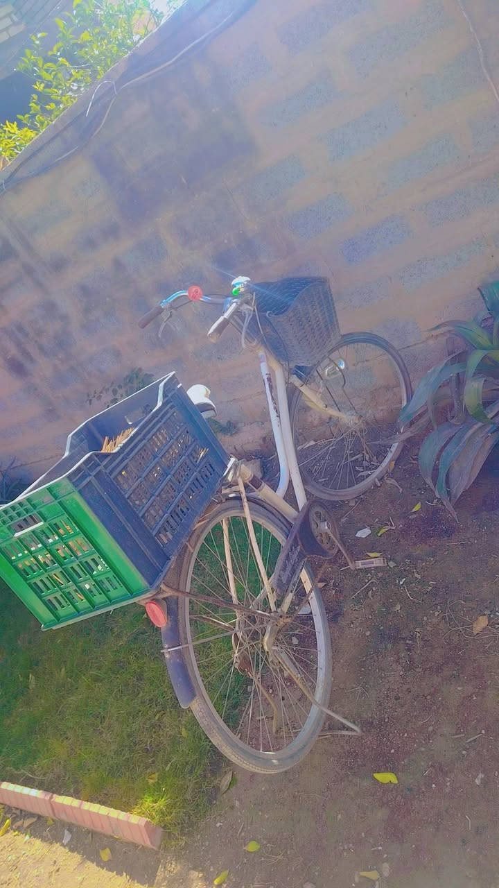 للبيع ٧٥ وبي مجال راسلني خاص


**إذا كنت صاحب هذا الإعلان وتريد حذفه لأي سبب، رجاءا أرسل رسالة إلى الدعم الفني**