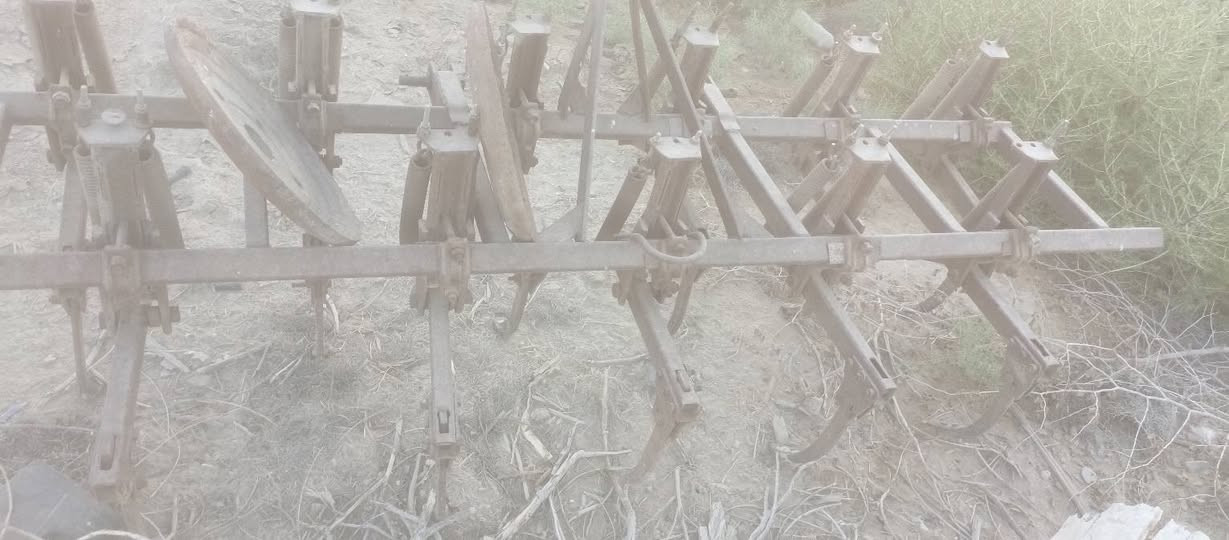 سلام عليكم يوجد خرماشه بلاديه لبيع  المكان بابل ***********
