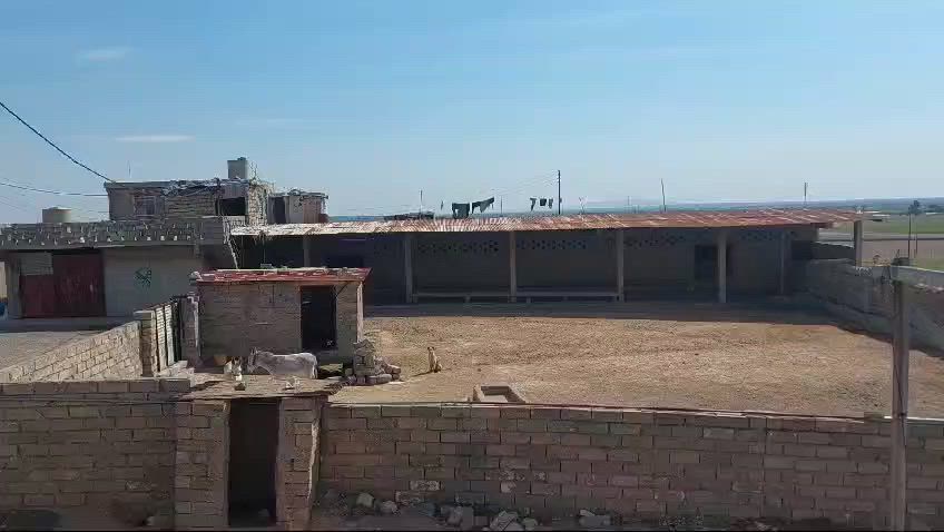 حقل دواجن وحقل عجول للبيع للإستفسار واتساب ***********

