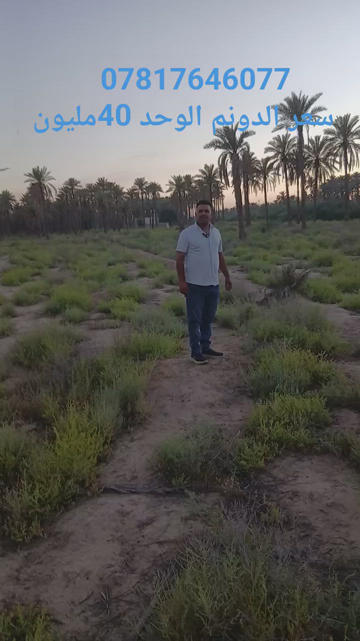 يالله سلام عليكم يتوفر لدينا راض اللبيع المساحه 5دوانم طابو زراعي سند 25الموقع قرب شارع الدسميه الاستفسار مراجعة مكتب وعقارات هنا المستقبل او الاتصال ***********@
