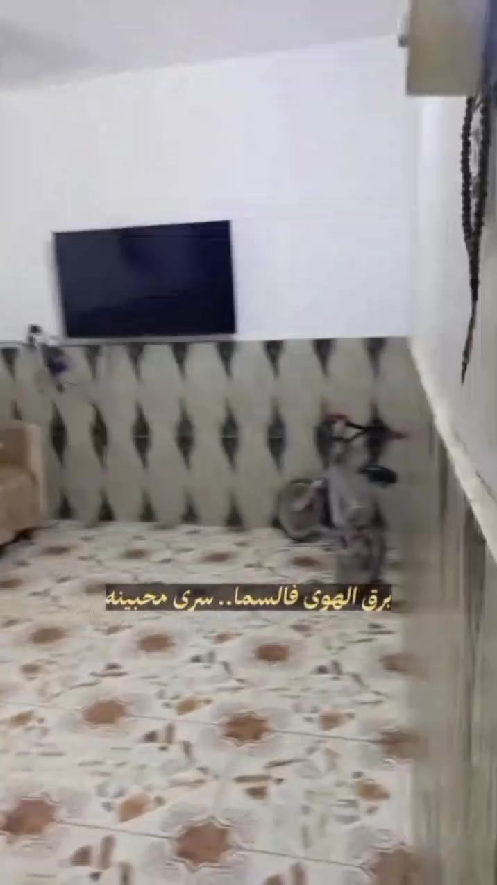 مشتمل بحي الحكيم بنزله خليفه قريب علا المختار 
طابقين غرفه وهول ومطبخ وستقبال جوه وهول وغرفه فوك مسجل بلديه سند 25مسجل بلديه
بناء بلوك 
السعر 29بيه مجال 
الستفسار ***********
