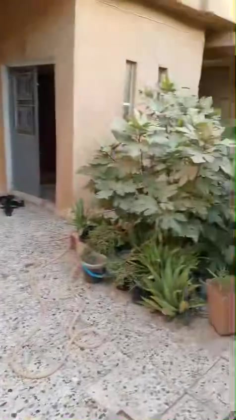 السلام عليكم اخوان بيت للبيع في شهداء العبيدي الثالثة مساحة البيت ٢٠٠ متر السعر ٢٠٠ وبيه مجال للستفسار الاتصال على الرقم ***********
