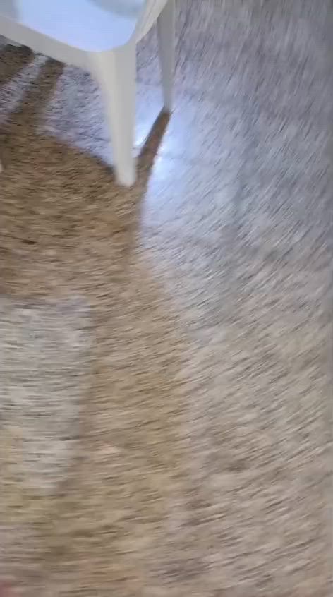 كاونتر استخدام قليل ونضيف مابي اي ضرر اريده ٥٠٠ مكاني العامريه


**إذا كنت صاحب هذا الإعلان وتريد حذفه لأي سبب، رجاءا أرسل رسالة إلى الدعم الفني**