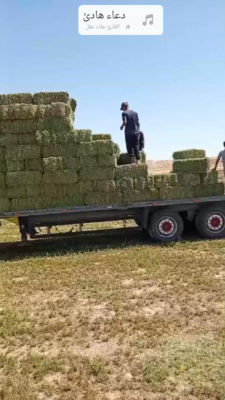 متوفر كبس جت.    ربط سيم تصدير
*********** وات ساب 

***********

العنوان بغداد اليوسفية 

البيع على الطن
