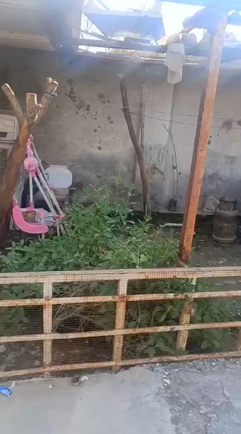 السلام عليكم   بيت 200 متر الوجه 9 والنزال 23 متر البيت بلوك غرفتين ومطبخ واستقبال وحمام خارجي وداخلي وكراج وحديقه كبار نقصه بس تطبيك الصطح وستاير سبع قصور شارع ابو علي  فرع انشائية واسواق  السواعد  الفرع  10 متر تبليط خدمات  الفرع نافذ على المدارس والعياده ودائرة الكهرباء  رقم صاحب الدار بدون دلاليه ***********  السعر  70 بي مجال فليل   البيت نظيف تجي تشوف بعينك
