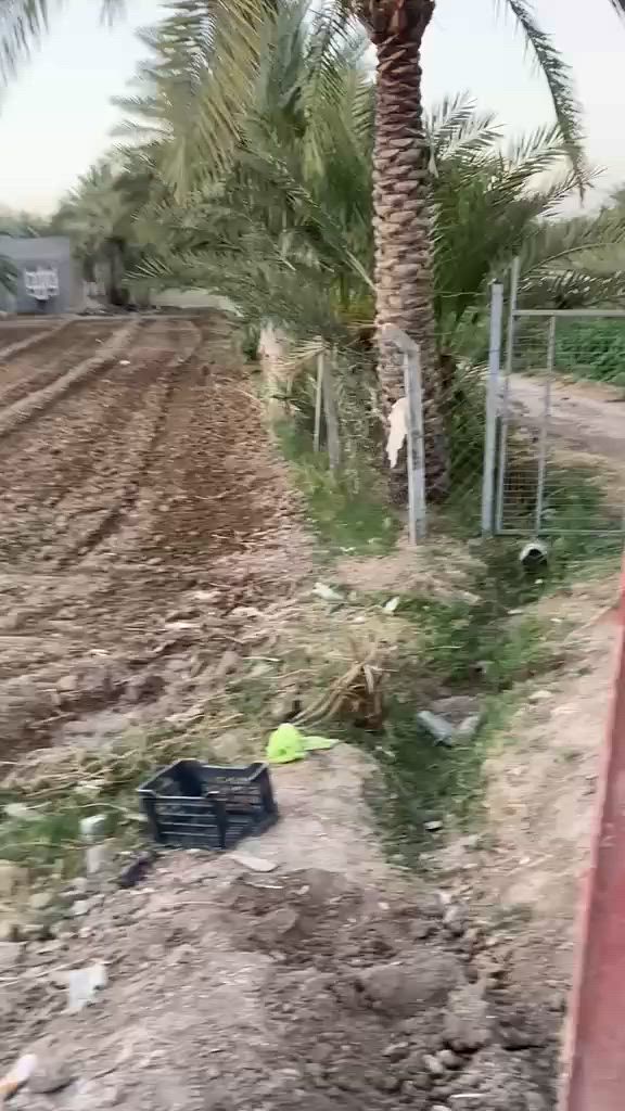 يا الله السلام عليكم 
عرضنا لهذا اليوم 
نص دونم 
الواجهه 20 
طابو زراعي سند 25
موقع الارض قرب شارع 100 
الاستفسار مراجعه مكتب هنا المستقبل أو 
الاتصال على الارقام التاليه 
***********
