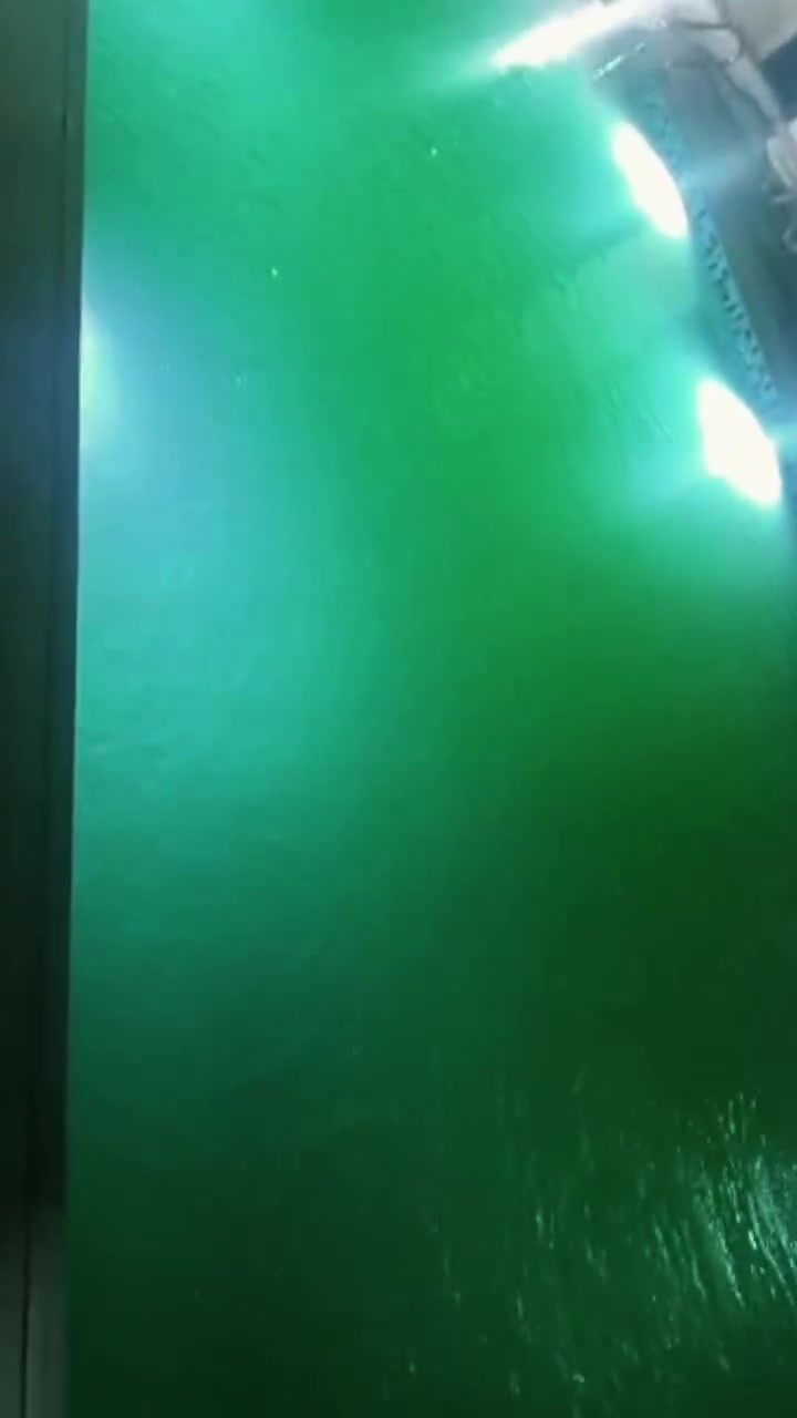 من مسبحٍ غطّته الطحالب وتحوّل لونه إلى الأخضر… إلى مياه صافية كالكريستال! ✨💦
هذا ليس تبديلًا للماء، بل نتيجة تنظيف احترافي وخبرة حقيقية.
في البرية للمسابح نعيد لمسبحك نقاءه ولمعانه بأفضل مواد التنظيف وأحدث التقنيات.
إذا كان مسبحك يحتاج إنقاذ… فنحن جاهزون للمهمة.

📞 للحجز والاستفسار: ***********
البرية للمسابح | الجودة تبدأ من التفاصيل
