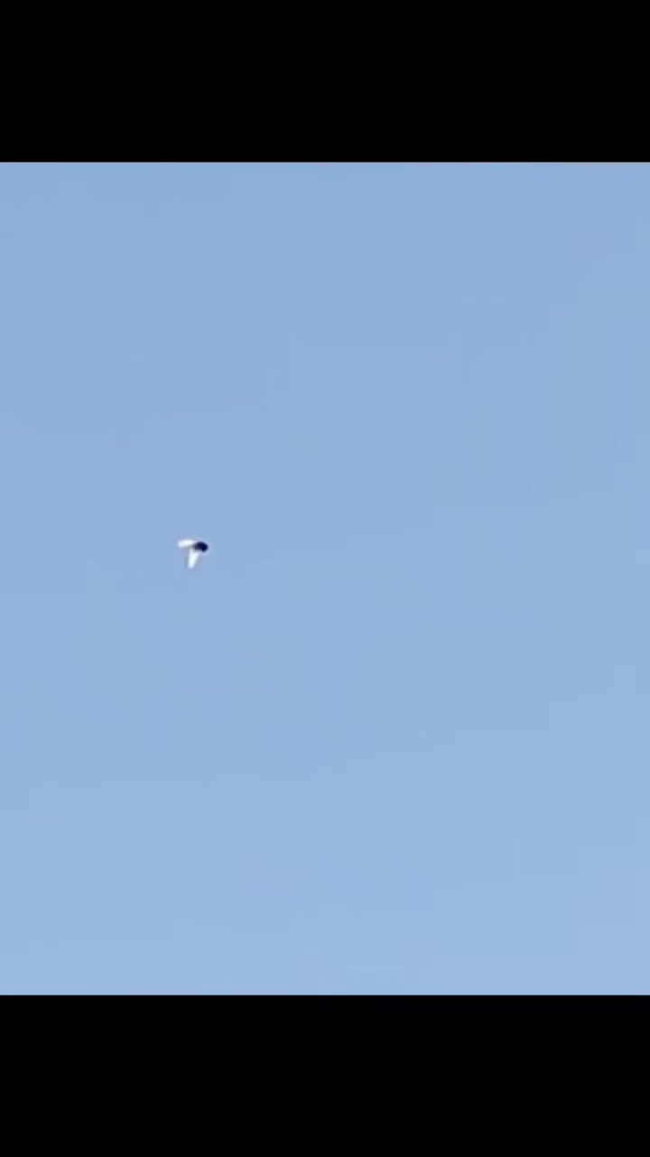 السلام عليكم حمام بتاع للبيع تبطيله كل من بساره***********‬‏
