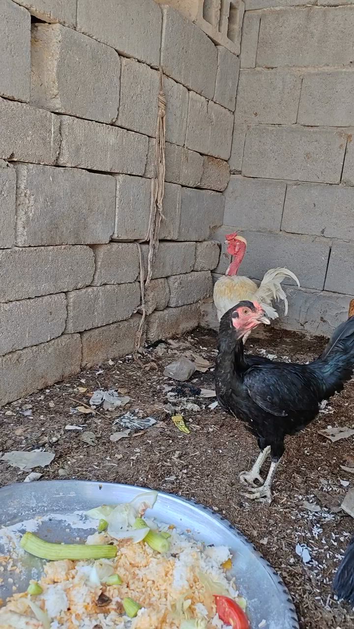 للبيع بسعر 50 المكان القرنه حي سلام


**إذا كنت صاحب هذا الإعلان وتريد حذفه لأي سبب، رجاءا أرسل رسالة إلى الدعم الفني**