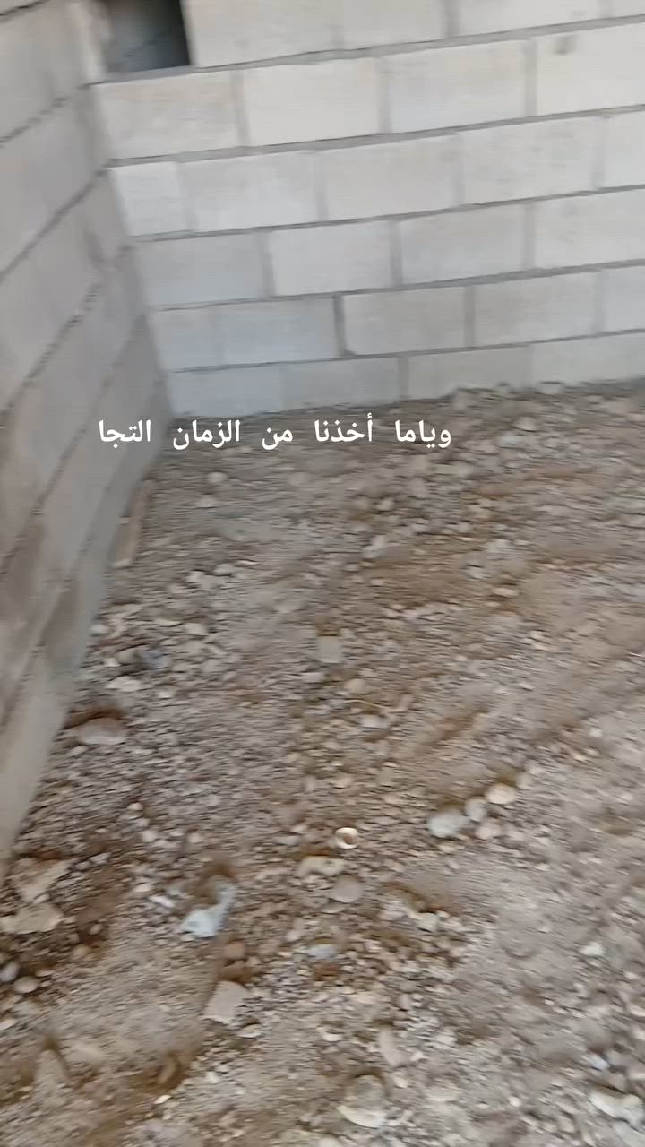 يوجد كادر عمل لتصفير البيوت
وحدل وبأسعار مناسبه جدا 
تكريت #بيجي #العلم #الدور #الاسحاقي #بلد #الدجيل للاستفسار الاتصال على الرقم التالي ***********
