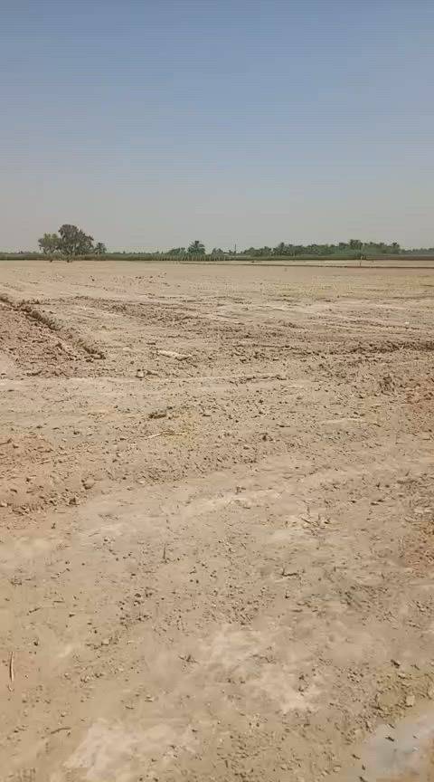 مكلف بنشر 10 دوانم للبيع طابو سند 25 المصالحه وطجاج سعر الدونم 50 مليون ***********
