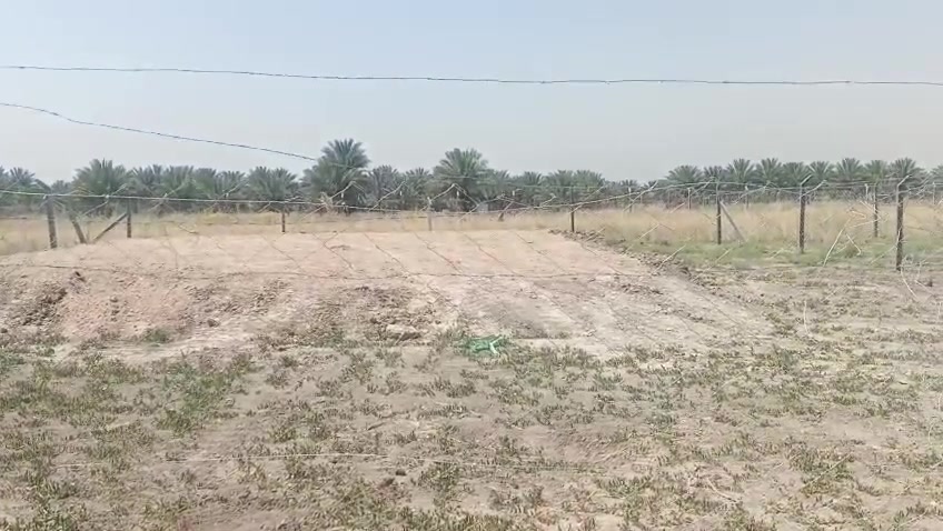 السلام عليكم اخوان قطع ارض للبيع مساحه ٥٠٠متر طابو زراعي سند ٢٥متوفر كافه الخدمات العنوان حله قرب مزار العلويه شريفه بنت الحسن للإستفسار ***********

