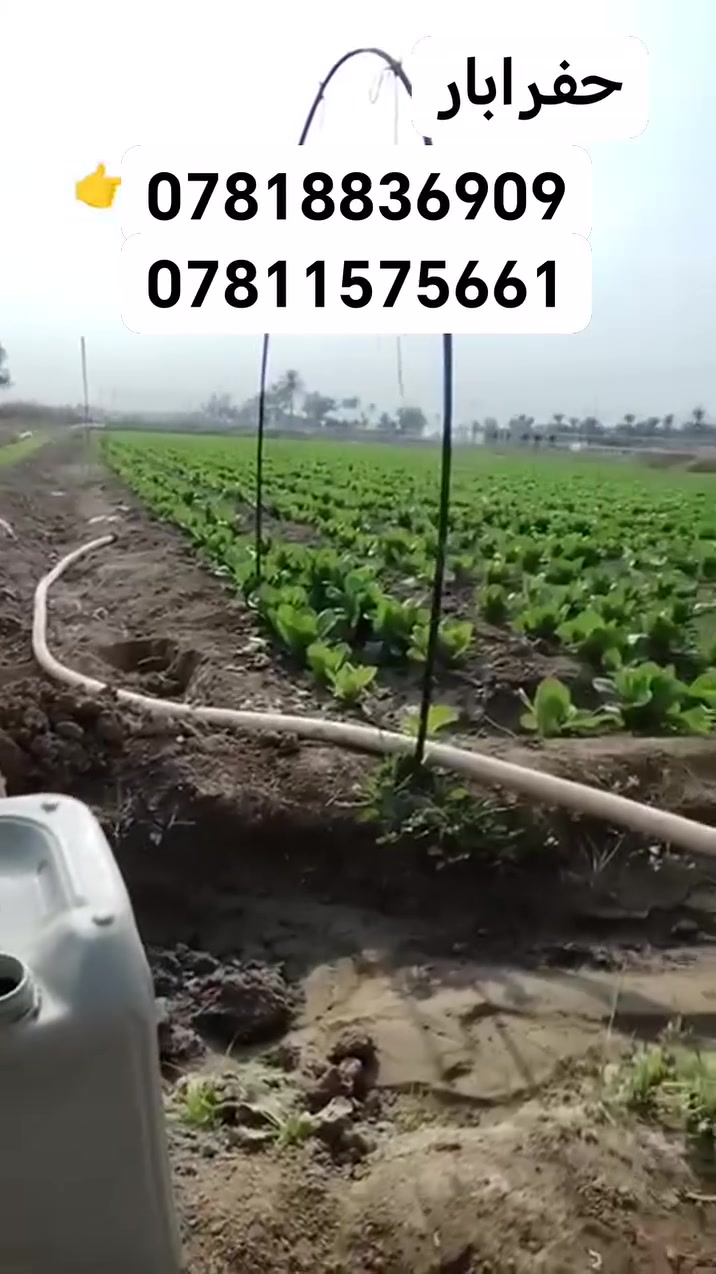 حفر ابار***********
_________*********** 
حفر ///اليا  🚜*********** 
__*********** _______________________________
مستعدون لحفر الابار وثقوب الشوارع
 اليا🚜_ ويدوي🚹
 {وتسريب مياه الامطار والمخازن}
 في كل محافظات العراق
 بأنسب الاسعار
 شغل مضمون100% 
للأستفسار..
《راسل الصفحه او اتصل على الأرقام》↘️
●●●●●●●
***********
