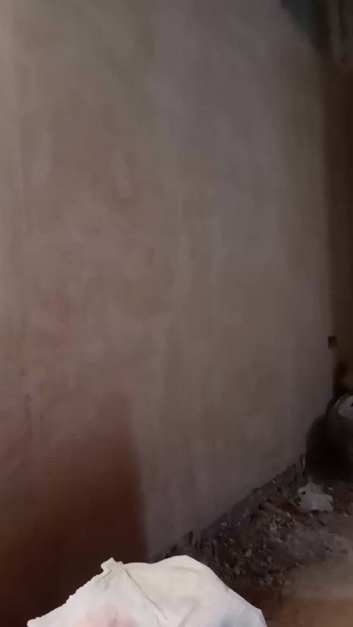 سلام عليكم
شغلي جص بورك 
لبخ نثر بغداد الكرخ ***********
شغل مرتب  جيب مهندس مقاول شجيب جيب يفحص الشغل

