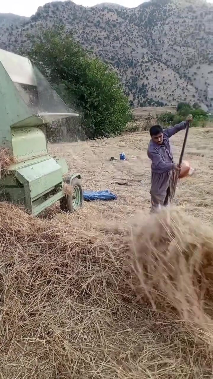 البیع بۆفرۆشتن بەشەرتی بن ئیش سەرەدەکانی نوئن 17ورەقەو مەجال***********
