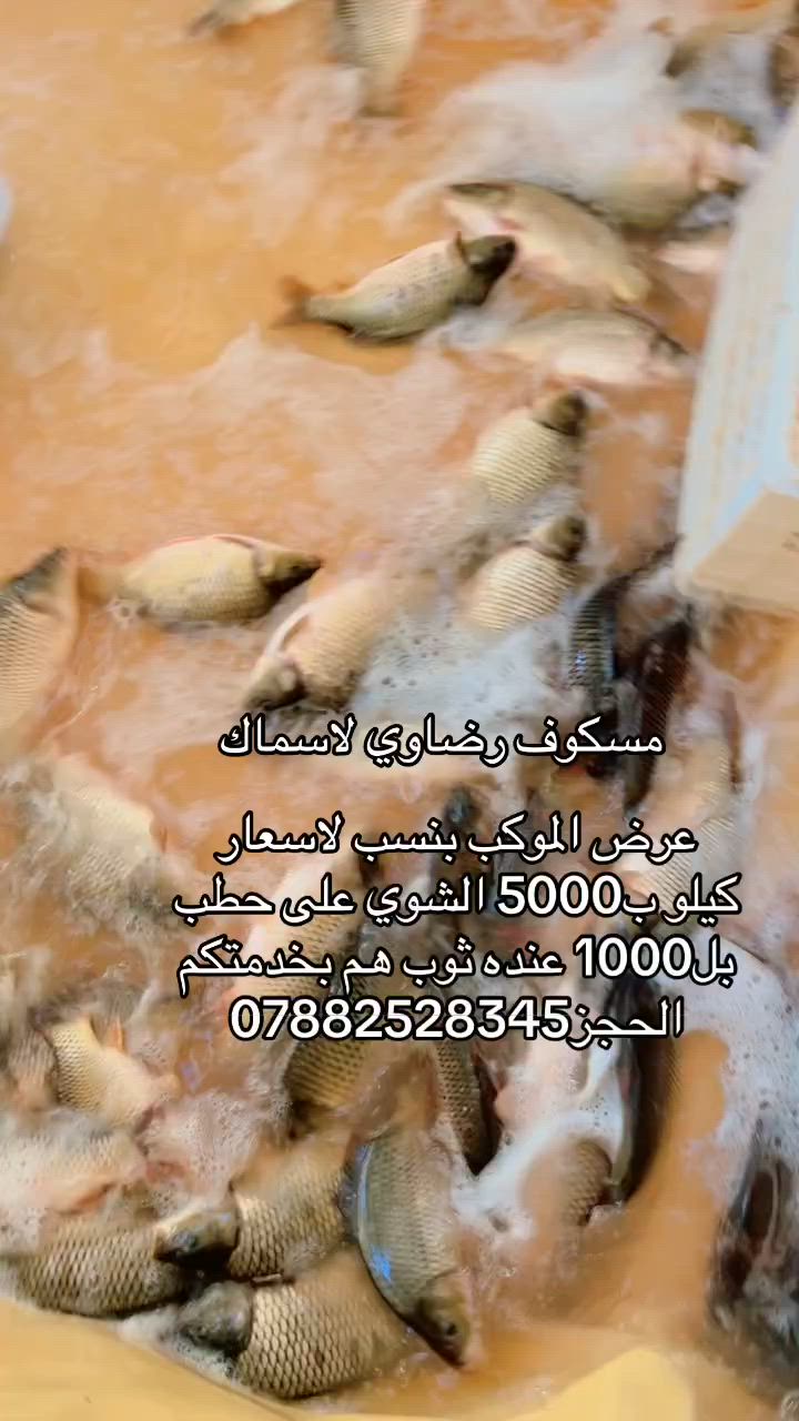 الحجز***********
