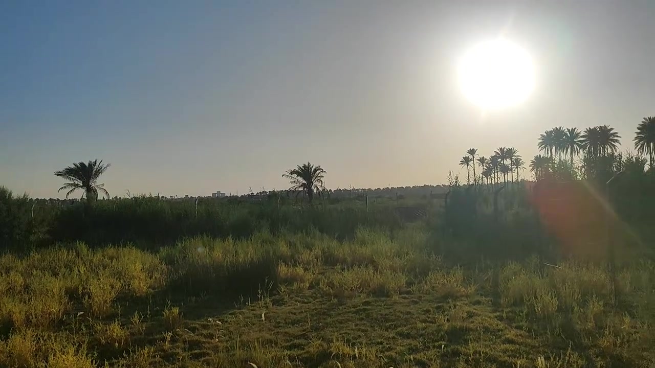يالله السلام عليكم قطعه للبيع بالورديه منطقة البوحمير  قطعه طابو زراعي سند 25 تحويل مباشر او اقرار
مساحتها 450 متر واجه 20 متر
//////***********///////////*******/////
السعر 50 مليون وبي مجال 
///*********/////*************//////////
للاستفسار مراجعة مكتب عقارات حسين المعموري الكائن في البكرلي قبل جامع سلمان المحمدي 
او الاتصال على الرقم ***********  بادارة حسين المعموري
