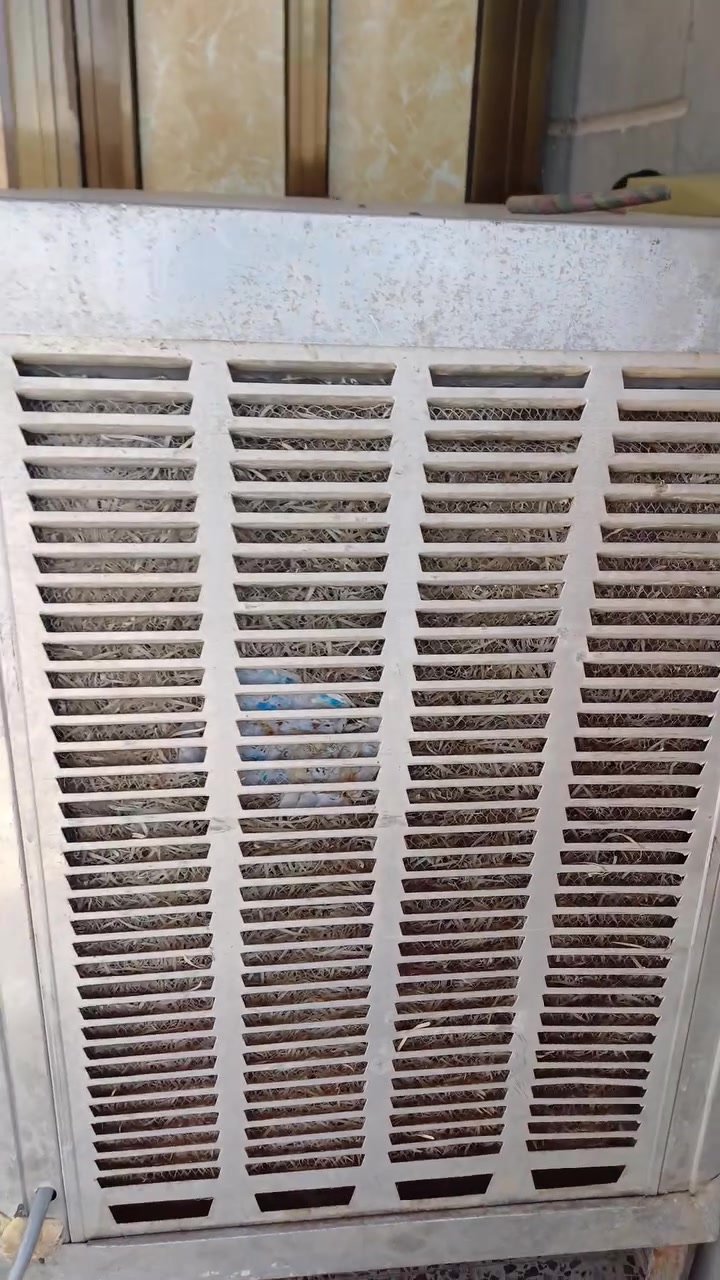 مبرده فافون للبيع سرعات شغالات ماطور نحاس لليف موجود بيها للاستفسار هذا رقمي ***********
