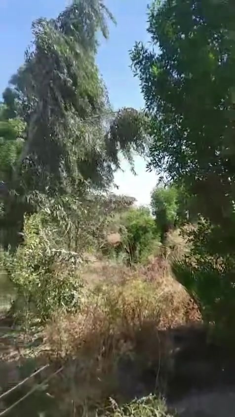 ( مكلف بالنشر )

ارض زراعية نصف دونم تقع في النهروان منطقة الخنساء مسيجة ومزروعة يوجد كرفان وكهرباء وماء سقي الراغب بالشراء الاتصال ع الرقم*********** يوجد واتساب
