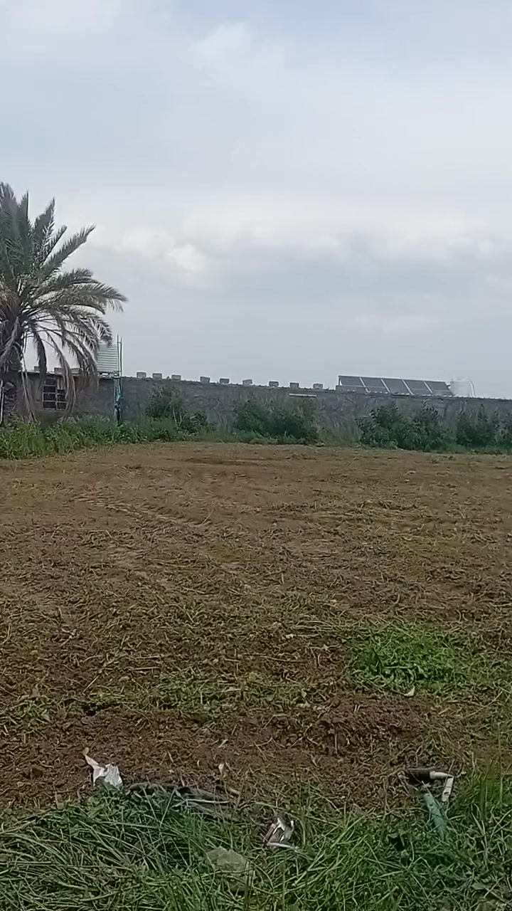 دونم يصلح للترفية والسكن سياحي استثماري في اليوسفيةبيرالحمام بأسمي حصرأ
_______سند25__________ بيةحقل دواجن مع غرفة مولد مع بيت٩٠ متر جاهزماء اسالة مع كهرباء ثري فيز
_____السعر__95_________
 اتصل *********** ابوعبداللةواتس اب
