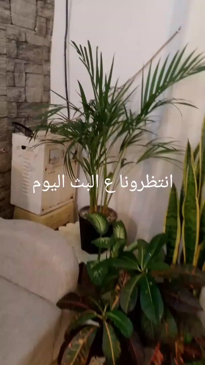 مسواك جديد


**إذا كنت صاحب هذا الإعلان وتريد حذفه لأي سبب، رجاءا أرسل رسالة إلى الدعم الفني**