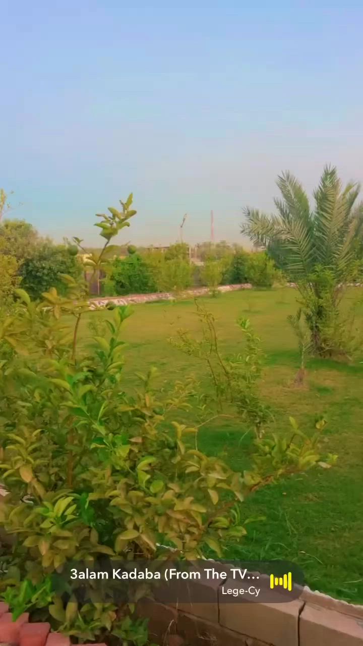 مزارع وشاليهات ضي القمر في بغــداد- الزعفرانية على ضفاف نهر دجله
مثبته بتطبيق #اجرلي
للأيجار اليومي للشبــاب و العوائــل 
أهلأ وسهلا بالضيوف الكرام

💥 غرفتين  نوم وصالة ومطبخ وصحيات 
💥 مسبح 
💥 حديقة
💥 كراج للسيارات
💥 كهرباء ع مدار 24 ساعة 

🔴يرجى الالتزام بالشروط :

غير مسؤولين عن اي حادث عرضي او غرق  
يرجى المحافظة على نظافة المكان والممتلكات
في حال عدم الالتزام بالشروط   وسيلغى الحجز ولا يسترجع المبلغ المدفوع

العنوان :- بغداد_الزعفرانية_
اللاستفسار او الاتصال على الرقم التالي..
هــاتف / ***********
متوفر حجوزات صباحي مسائي طول أيــام الاسبوع
