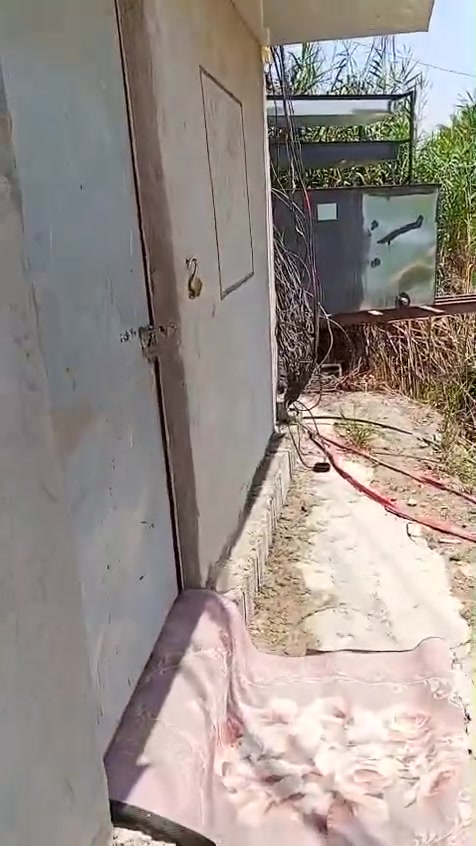 سلام عليكم ورحمه الله وبركاته 
علابركت الله تعالى 
موقع مولده للبيع يضم مولدات ثنين (افيكو 120)مولدات نضيفات ماناقصهن اي شي جاهزات 
حمل الموقع (500)امبير قابل للزياده 
ــ مكان كربلاء قضاء الحسينيه ناحية العطيشي ابو سليمان
للاستفسار اكثر الاتصال ***********
