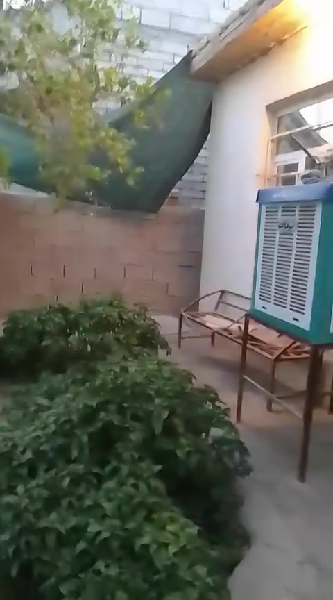 بيت 250م ،حي الاجبيرية الثالثة طابق واحد ،قرب من منطقة اليرموك
***********
