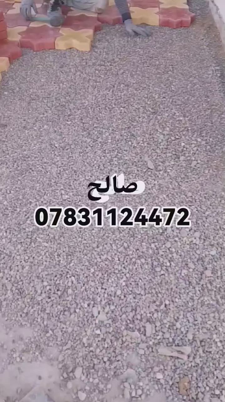 صالح ***********
