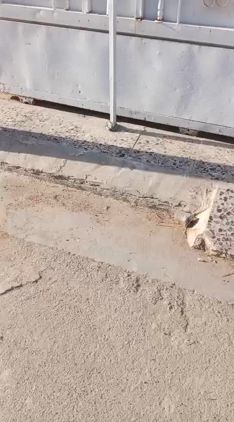السلام عليكم بيت للبيع صب كاشي سيراميك رئاسة المعلمين  قرب مركز شام الصحي    قريت ناجي اول شارع زراعي  المساحه /100/غرفت نوم مطبخين حراري وعادي استقبال /واجهه 5متر نزال 21خدمات كامله  مي  مجاري كهرباء انترنت  ضوئي تبليط 
         السعر 50وبي مجال قليل 
         الاستفسار 0771876004 
          شاهد الفيديو بل منشور


**إذا كنت صاحب هذا الإعلان وتريد حذفه لأي سبب، رجاءا أرسل رسالة إلى الدعم الفني**