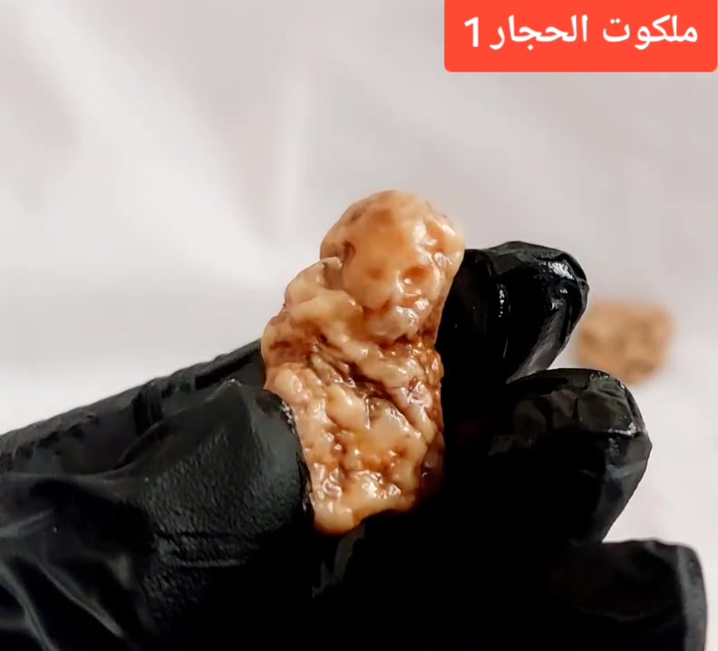 #عطف_بري_ملاگط_مجسم_ومصور
#طاقته_فووول_الفووول

الحجر اللي لفت نظرك واعجبك لاتغض النظر عنه وتعبره لو جنت هاوي اوجناي ، لان هو ناداك بطريقته و هذا معناه صاح عليك من خلال الطاقة البيه ومعناها طاقتك تتناغم وي طاقته ويشتغل عندك فول.

للحجز والطلب مراسلة الصفحة

 او الاتصال عبر رقم الهاتف

***********

#مجسمات_ربانية

#ملكوت_الحجار 1
