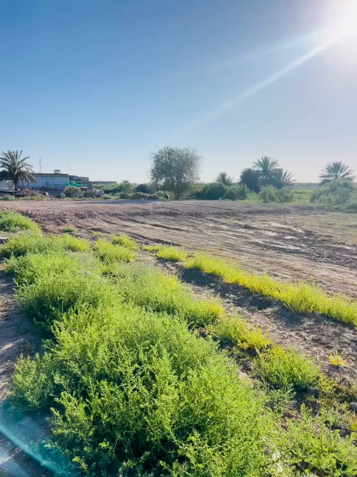 دونم طابو زراعي للبيع / خلف سوگ الفلوجة
الواجهة ٧٥م
النزال ٣٥م

السعر ٧٥ مليون وقابل للتفاوض للعلم ماشية معاملة تطويب للصرف

***********                                                                         ***********                                      

#خادمكم_1عقار🏠
