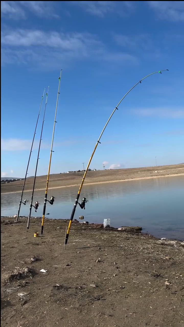 #fishing


**إذا كنت صاحب هذا الإعلان وتريد حذفه لأي سبب، رجاءا أرسل رسالة إلى الدعم الفني**