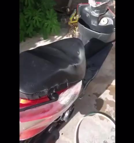 ماطور ماكس للبيع
نضافه كدام عينك
نضيف 💯 
مو شراي لاتخابر رحمه على والديك
العنوان كركوك السعر خاص خابر او تدلل 
للستفسار***********
