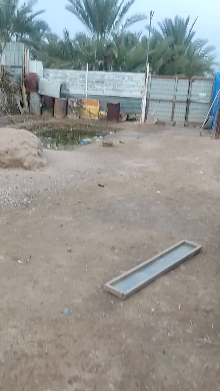 قطعه ارض للبيع مع دار ع شارع عام تجاري مباشره

  بصف محطة شرق البصره 

مساحه كليه للأرض  الف و90 متر مساحة الدار  180 متر 

سند 25  ومفروز باسمنه من طابو تحويل نفس اليوم 

***********
