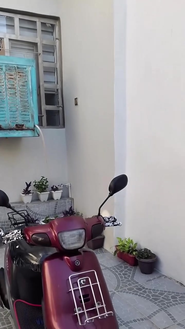 ماطور بوتين للبيع مفتوح مره وحده معمر بستم دبل سكليتر كهربائية سلف شغال السعر 300 وبي مجال المكان موصل ايسر لتواصل خاص او عرقم ***********
