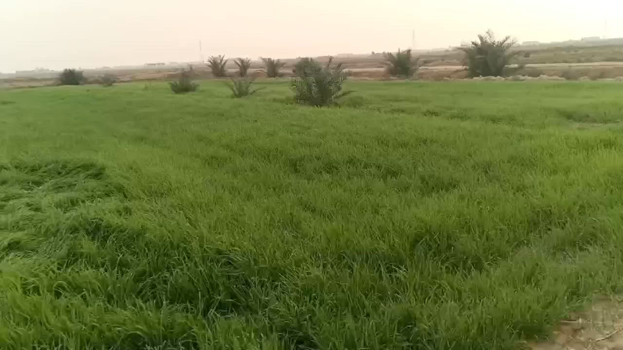 زراعيه للبيع سنه 25 10 دونم***********
