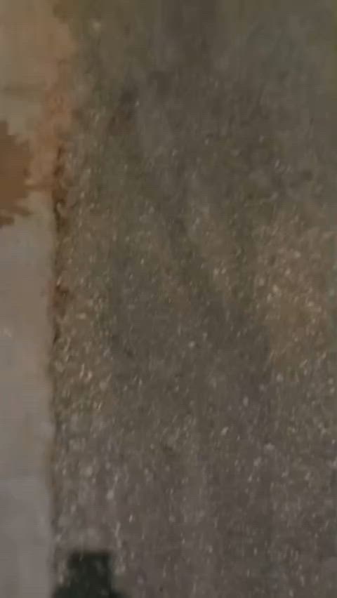 مراوس فقطط اوراق اصوالي بس كون نضيفه


**إذا كنت صاحب هذا الإعلان وتريد حذفه لأي سبب، رجاءا أرسل رسالة إلى الدعم الفني**