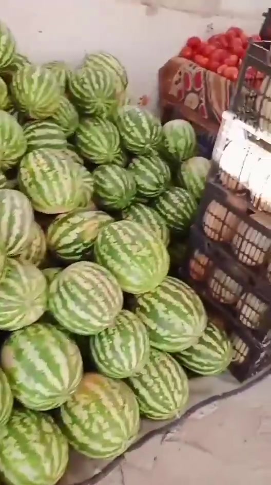 ***********/ ساحه باسم منير الفتلاوي 🤲
