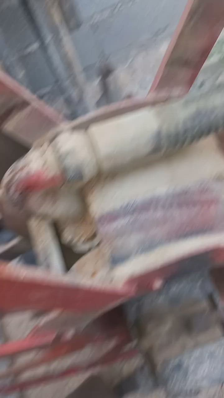 صونده انج ونص بكره كامله بغداد ***********
