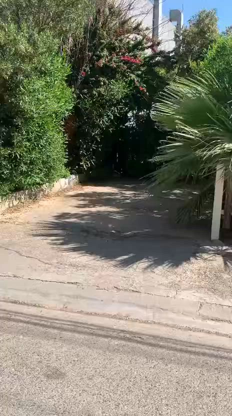 بيت للبيع في بهاري نوي
مساحة 100م

گدام حديقه 

يتكون من :-

3 غرف نوم  _ استقبال _ هول _ مطبخ _ مجموعه صحيات _ وكراج

- التسجيل فوري باسم كل من يحمل الجنسية العراقية 

_______________________________

 

خانوو بۆ فرۆشتن لە بهاري نوي 

پيش حه ديقه 

رووبەر 100  

3 ژوورى نوستن 

دیوەخان

هۆڵ

چێشتخانە

گەرماو

........................

للتواصل :-

*********** Whataspp 

***********

@

